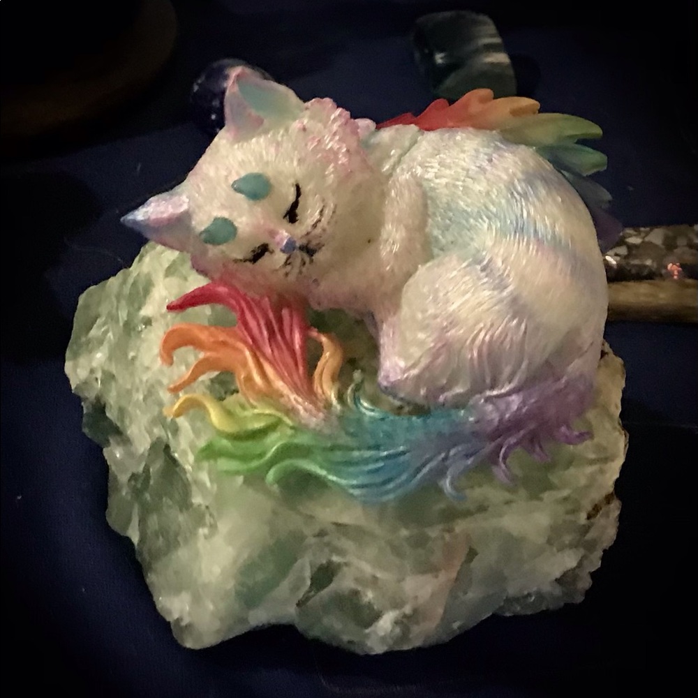 Beautiful Rainbow Sleeping Dragon/Kitten hybrid